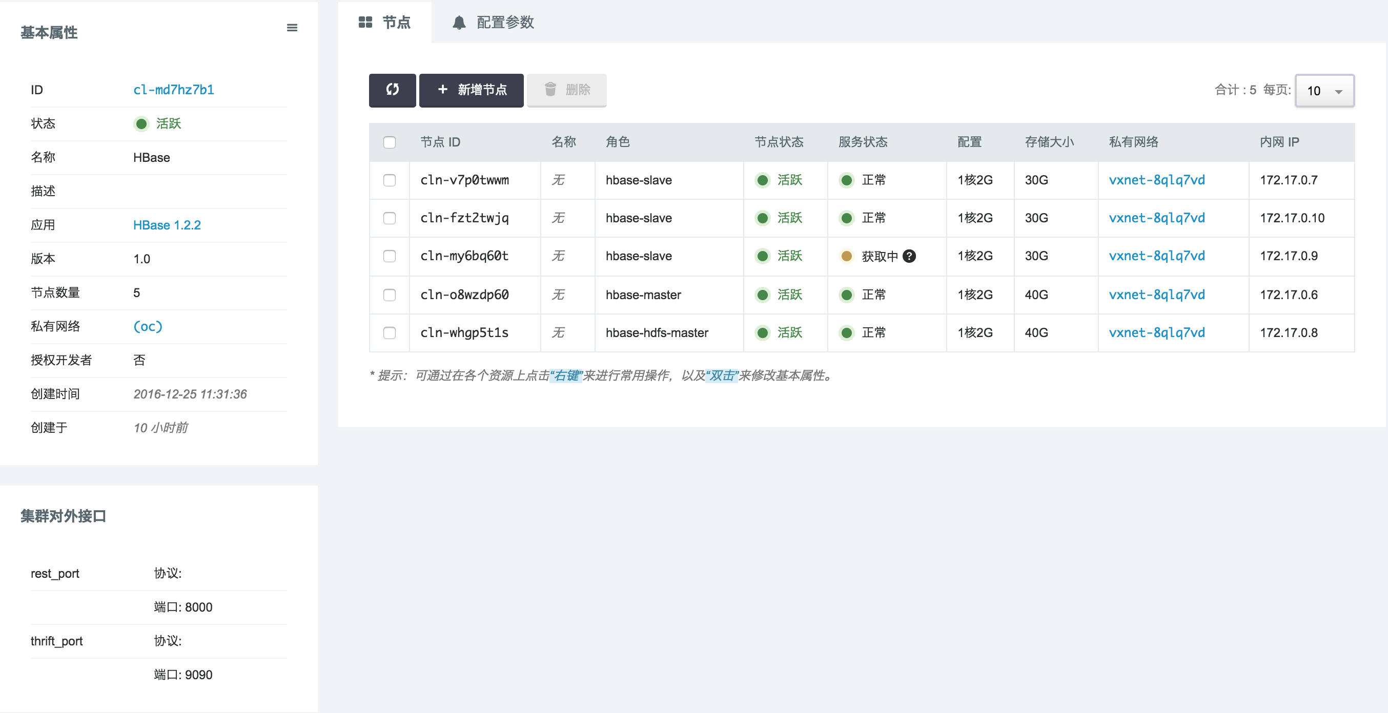 应用集群详情